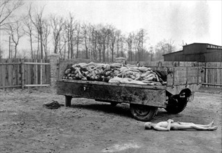Dead bodies of those that were held captive as prisoners of war.