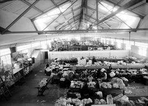 Photograph of the Lodzia Textile Co in Holon settlement