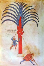 Romanesque manuscript from the commentary on the Apocalypse