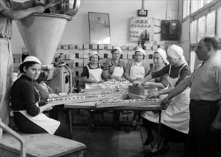 Photograph of a Jewish Cheese Factory