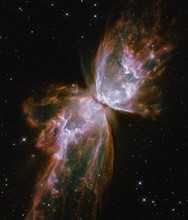 Butterfly shape emerges from Stellar Demise in Planetary Nebula NGC 6302