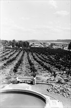 Photograph of Giv'atayim in Israel east of Tel Aviv
