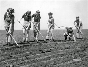 American women of the 'Land Army' work in farming during WWII, USA 1942