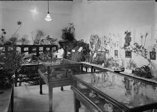 Photograph of the Biblical Botanical Department at the Hebrew University