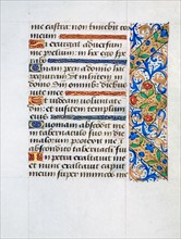 The French Book of Hours