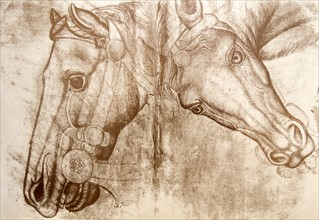 Sketch of a horses head possibly by Pisanello