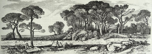Country scene in France 1853