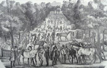 Illustration depicting the horse market in Paris