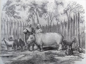 Illustration depicting two African shepherds talking whilst a hippo and goats surround them