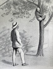 Illustration from a book depicting a boy sliding down a tree in front of a doctor