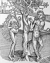 Adam and Eve tempted in the Garden of Eden. 1504 edition of 'Methodus Primum Olimpiade'