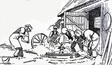 Illustration of labourers working