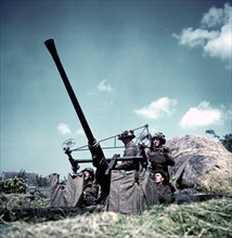 World War Two: Canadian soldiers manning a 40-mm Bofors anti-aircraft gun