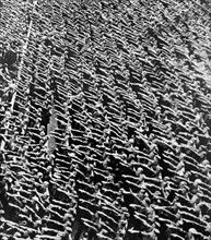 Photograph of one of the Nuremberg Rallies