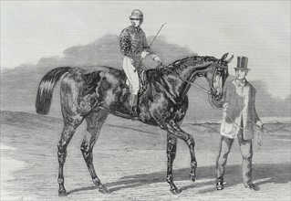 Sweetsauce, the winner of the Stewards' and the Goodwood horseracing cups.