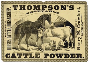 Advert for Thompson's Vegetable Cattle Powder