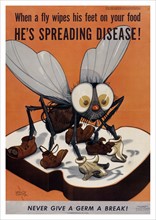 Public Health Poster on Flies