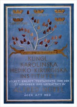 Colour photograph of Albert Szent-Gyorgyi's Nobel Prize Diploma