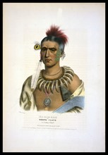 Ma-Has-Kah or White Cloud, an Ioway chief,