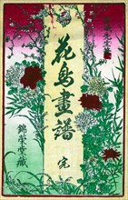 Botanical book illustration
