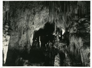 Crystal Palace, Aranui Cave, Waitomo, New Zealand