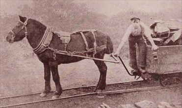 Gang pony or Pit Pony with child labourer at South Normanton Coal Mine, England