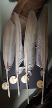 Swan feathers, used for quill pens