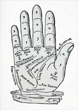 A palmistry chart used in the foretelling of the future through the study of the palm