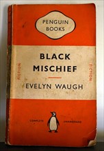 Cover of the 'Black Mischief' by Evelyn Waugh
