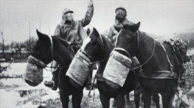Photograph of soldiers and their horses wearing gas masks during the First World War