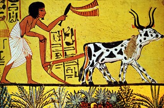 Fresco depicting an agricultural scene from an ancient Egyptian tomb