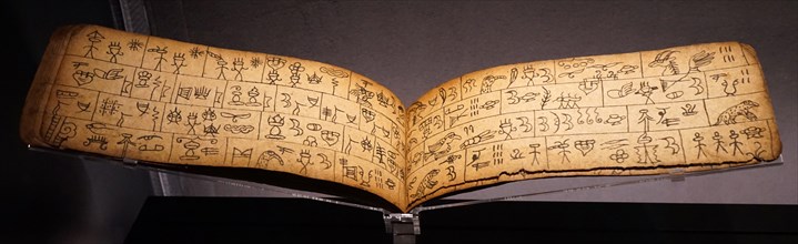 Pages from a Naxi manuscript