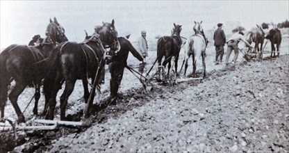 Jewish settlers farming in Palestine, circa 1910