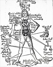 A blood-letting man, showing the points of the blood-letting connected with the signs of the Zodiac by Gregor Reisch
