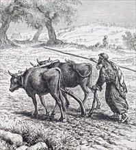 A farmer ploughing with the aid of oxen Dated 19th Century