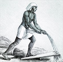 Engraving depicting an ancient Egyptian using a threshing board