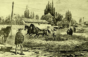 Image of Engraving depicting Geddes' turnip sowing machine. This