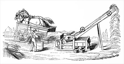 A threshing machine and straw elevator operated by horses
