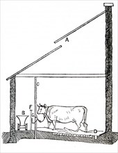 A diagram of a cow house in England