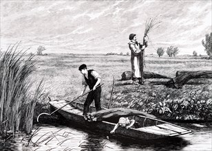 A peasant family cutting the rushes in rural England