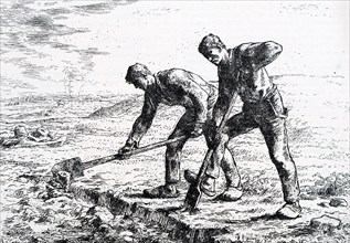 Print of the painting titled 'The Diggers' by Jean-François Millet