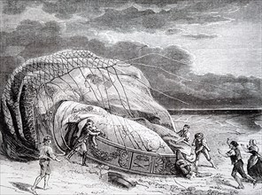 The fatal ballooning accident of Jean-François Pilâtre de Rozier