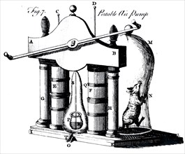 The evacuating of a bell jar by means of a portable air pump in order to examine the effect on the creatures imprisoned in it