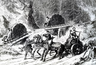 Vosges woodmen taking sledges of wood down an inclined plane