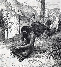 Australian aboriginal using a bow drill a prehistoric form of drilling tool, which was used to produce fire
