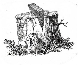 A wedge which, when hammered into a tree stump, acts as a lever to force the wood apart