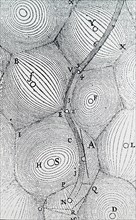 René Descartes' universe, showing how matter which filled it was collected in vortices, with a star at the centre of each, often with orbiting planets