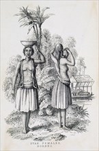 Dayak females performing daily tasks