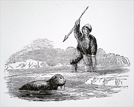 An Eskimo hunting a seal