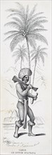 An Island Carib, also known as a Kalinago or a Carib, is an indigenous person of the Lesser Antilles in the Caribbean